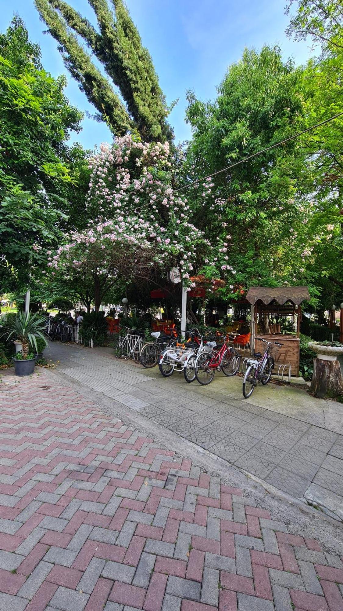 Dei Cozy Apartment Shkodër エクステリア 写真