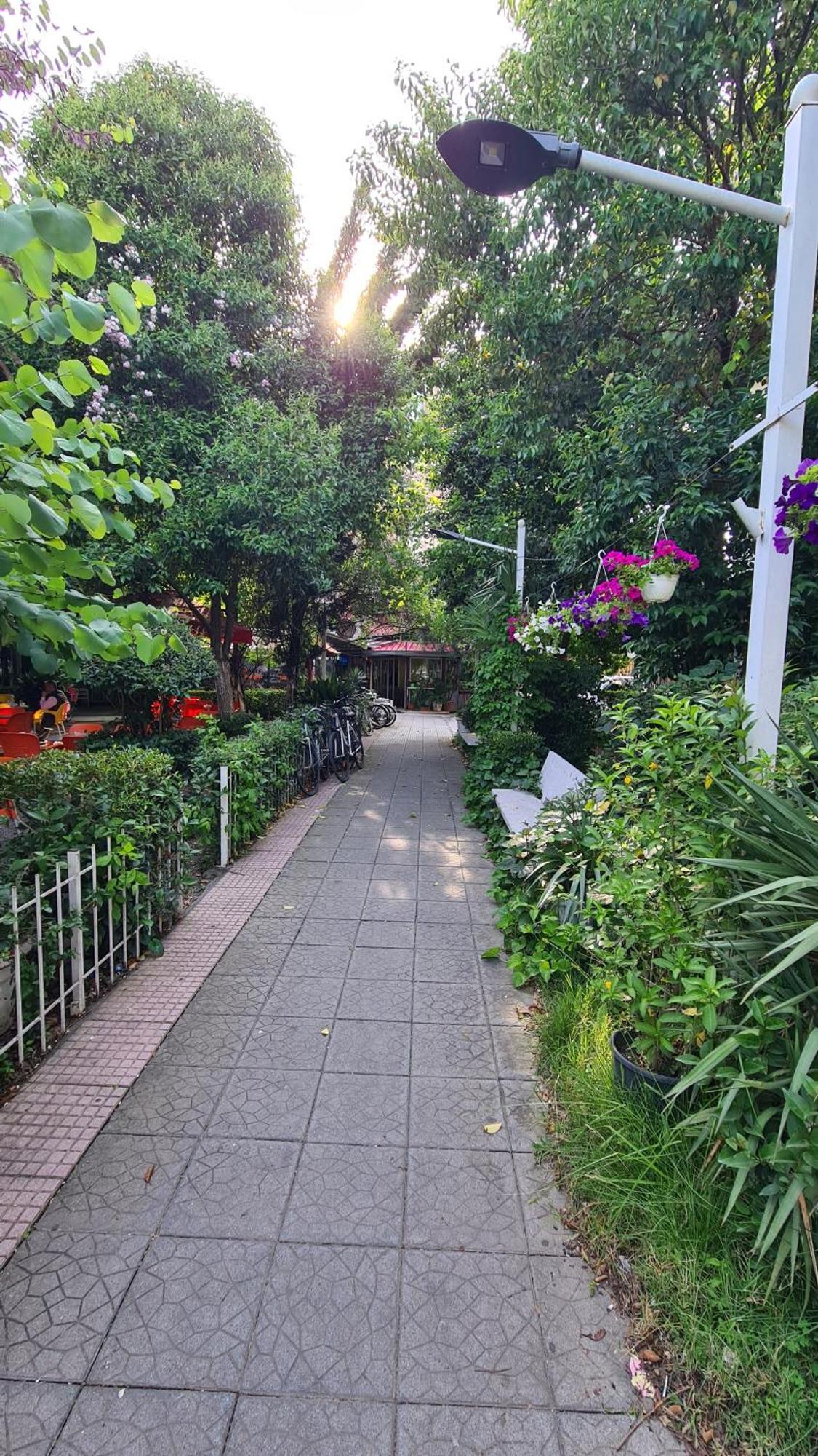 Dei Cozy Apartment Shkodër エクステリア 写真