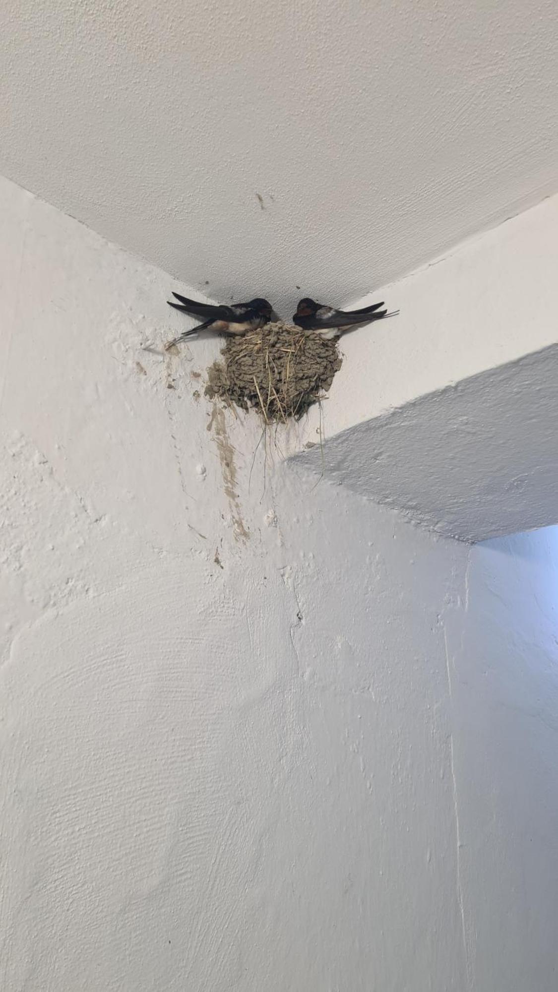 Dei Cozy Apartment Shkodër エクステリア 写真